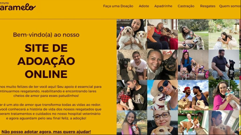 Parceria com o Tinder busca incentivar adoção de animais resgatados Parceria com o Tinder busca incentivar adoção de animais resgatados