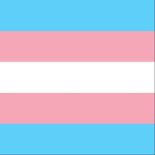 Bandeira do Orgulho Transgênero Bandeira do Orgulho Transgênero