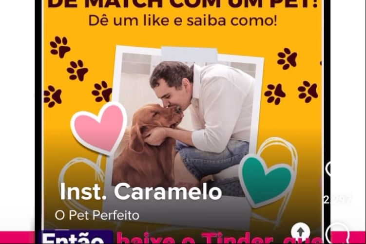 Parceria do Tinder com ONG no Brasil busca incentivar adoção de animais no Brasil Parceria do Tinder com ONG no Brasil busca incentivar adoção de animais no Brasil